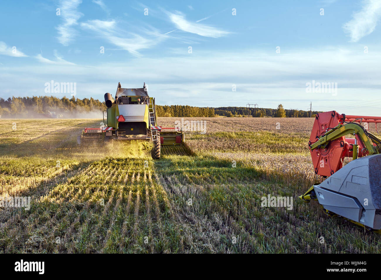 Mähdrescher ernten reifen Weizen. Landwirtschaft Bild Stockfoto