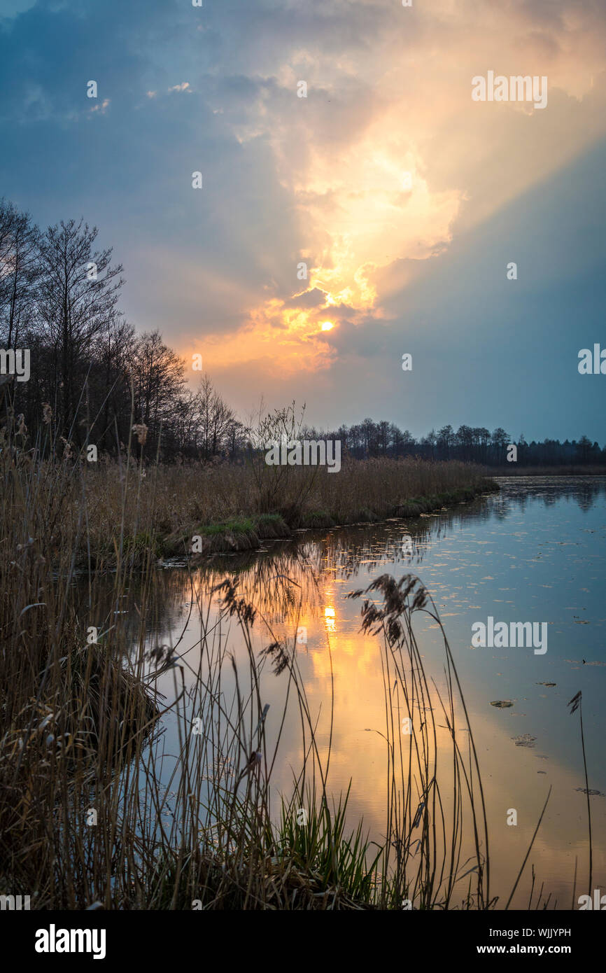 Wanderung durch das ibmer Moor, Oberösterreich Stockfoto