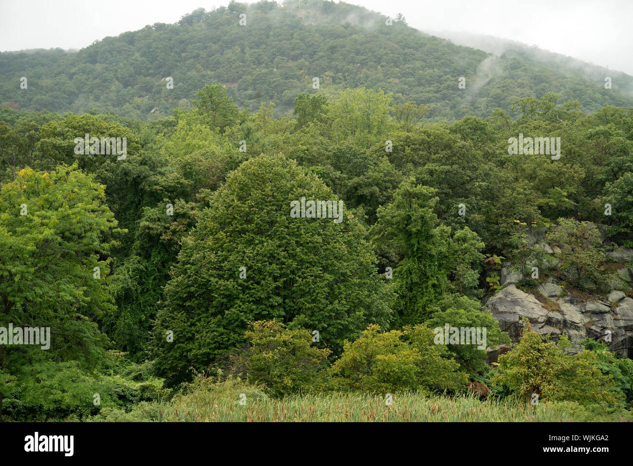 Bear Mountain State Park auf der Westseite des Hudson River auf einem nebligen, verregneten Tag im September. Der Park von 5,205 Acres, ist im Hudson Highlands. Stockfoto
