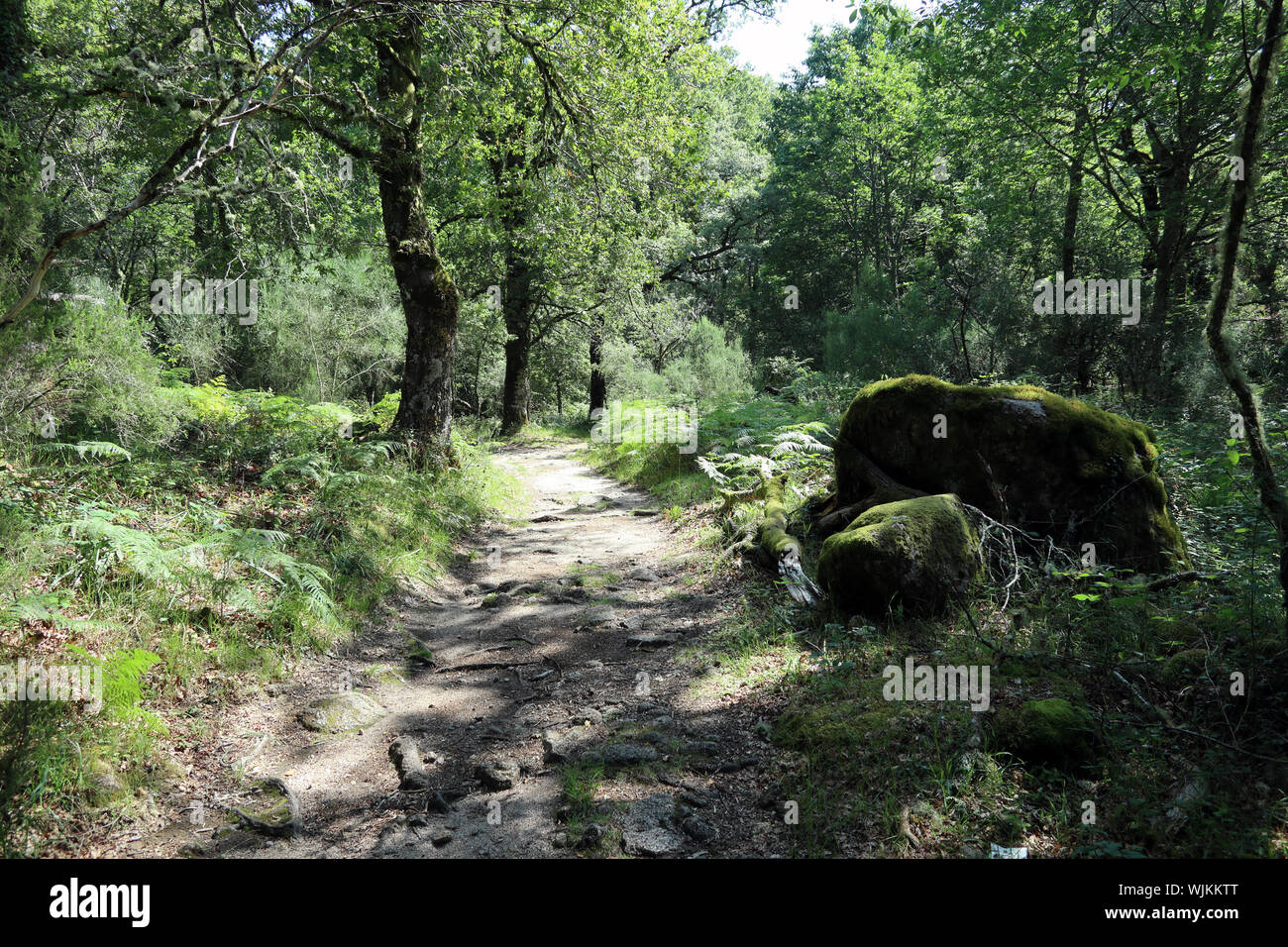 Wanderweg in Parque Nacional do Peneda-Geres, Portugal Stockfoto