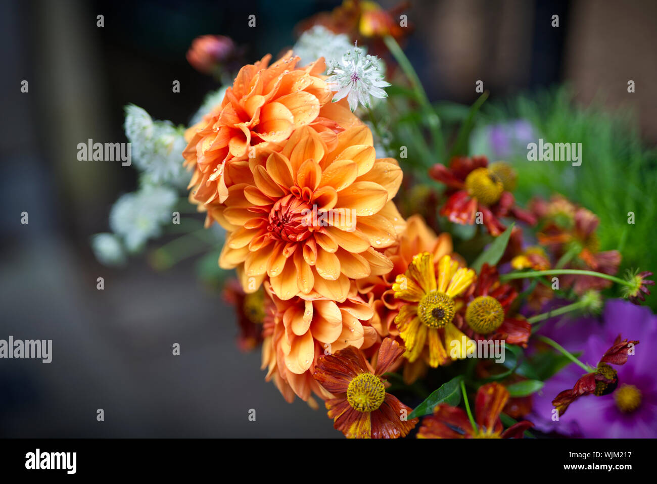 Foto mit Vignette von Schnittblumen für den Verkauf Stockfoto