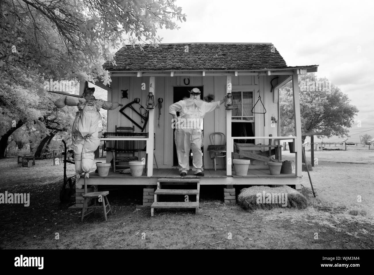 Historische interpreter Onkel Bob Beringer bei einem teilpächter Kabine auf dem George Ranch Historical Park, einem 20.000 Hektar großen Farm arbeiten in Fort Bend County, Texas, mit seinen historischen Häusern, kostümierte Dolmetscher und Viehbestand Stockfoto