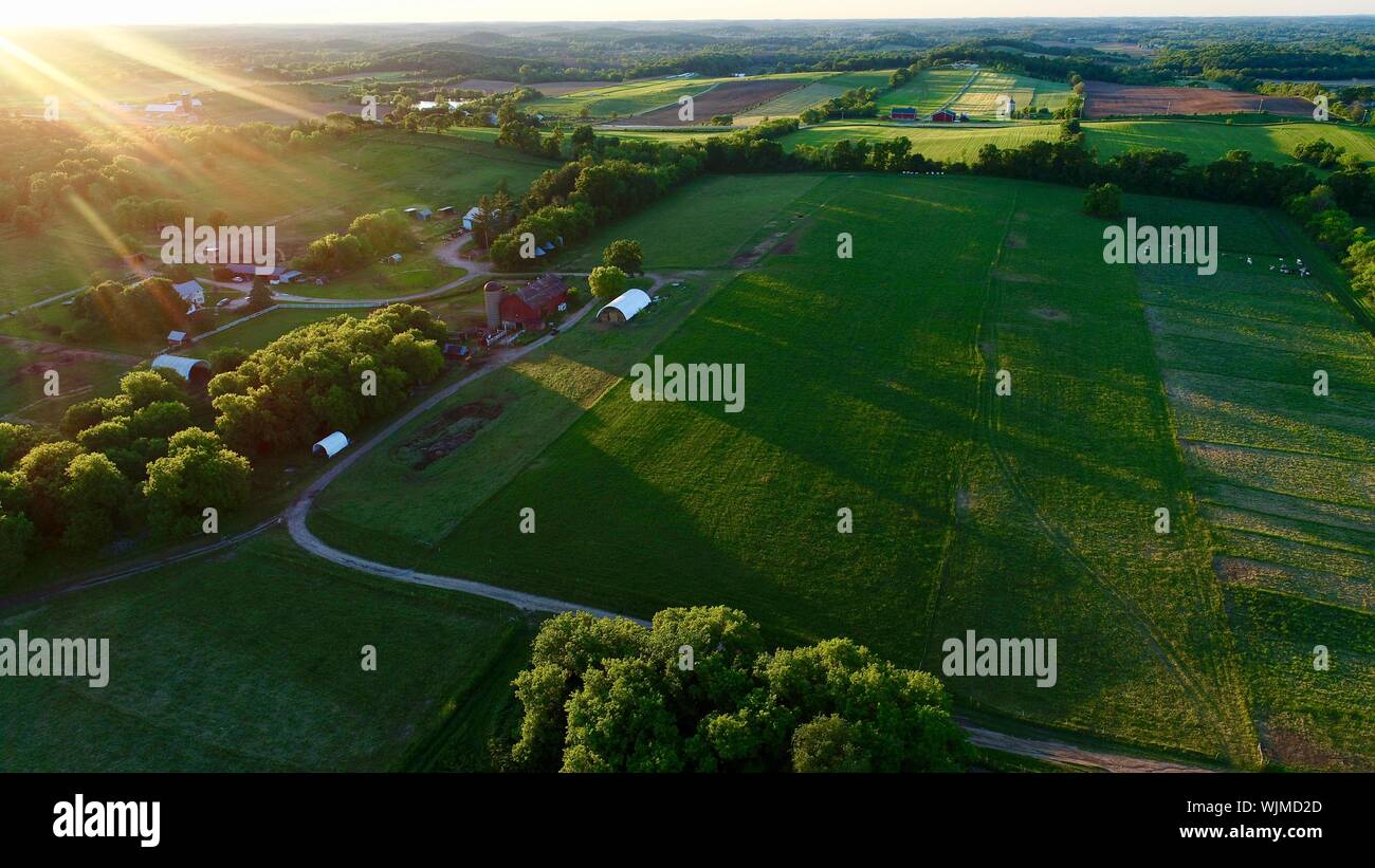 Luftbild bei Sonnenuntergang über Brattset Family Farm, ein organischer Rindfleisch Bauernhof mit Gras gefüttert Vieh, Jefferson, Wisconsin, USA Stockfoto