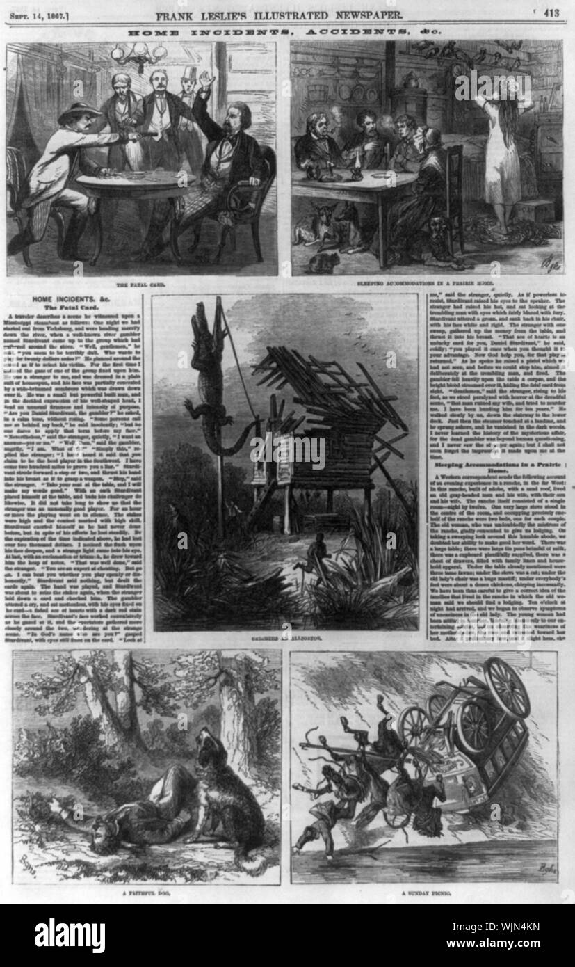 Home Vorfällen, Unfällen und Co 5 Illus. 1. Die fatale Karte ein Mann schießen Spieler auf Fräulein Dampfschiff; 2. Übernachtungsmöglichkeiten in einem praire Home; 3. Fang ein Alligator Alligator hängen von der Pole, Louisiana; 4. Ein treuer Hund Hund neben der Ermordeten, Nevada; 5. Ein Sonntag Picknick Pferde und Wagen stolpern über Felsen, Illinois Stockfoto