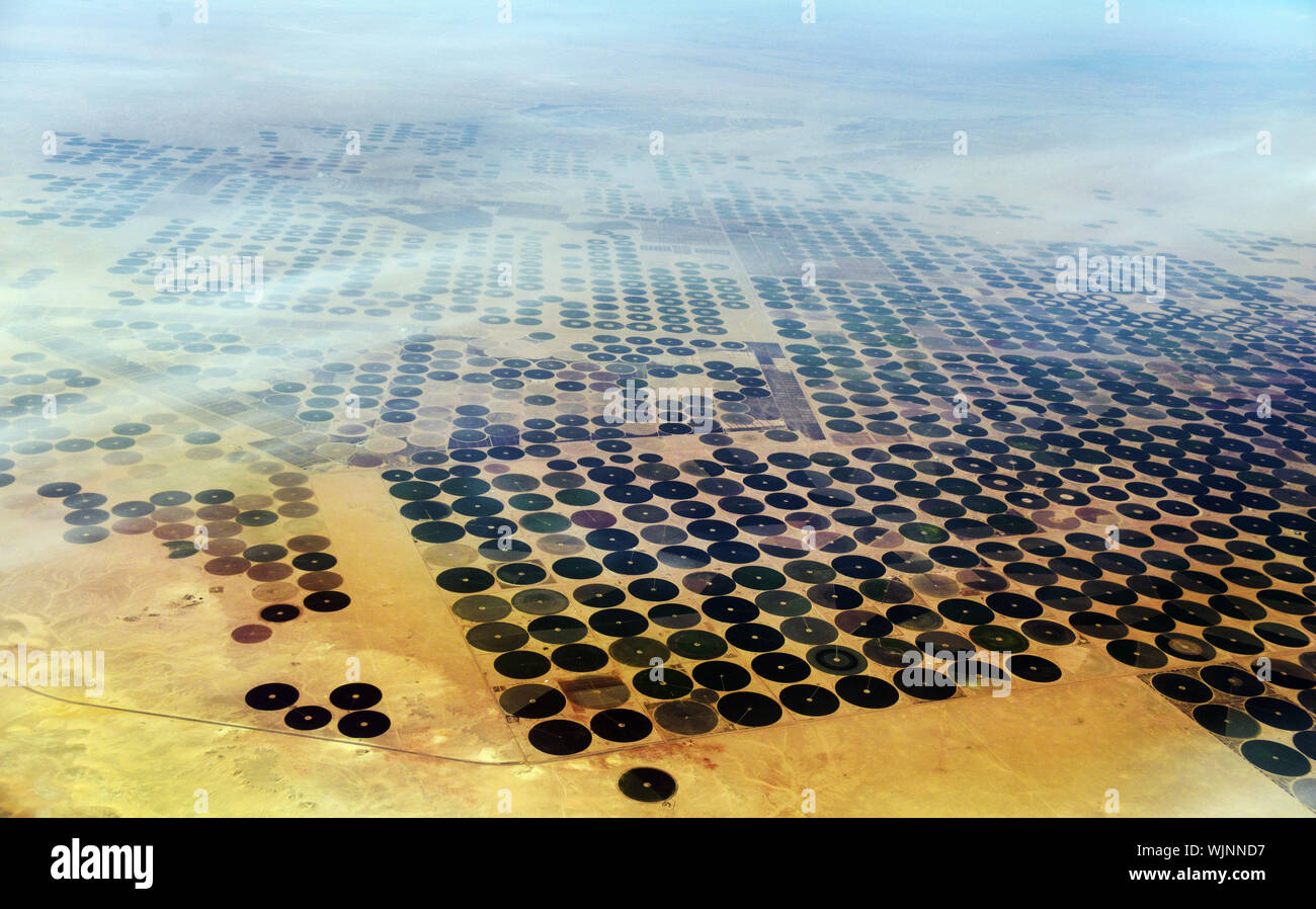 Luftaufnahme von kreisförmigen Landwirtschaft Felder in der arabischen Wüste in den VEREINIGTEN ARABISCHEN EMIRATEN. Stockfoto