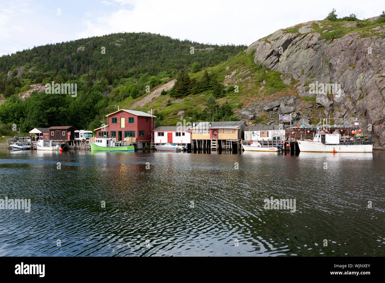 Hütten und Boote bei Quidi Vidi Hafen in Neufundland und Labrador, Kanada. Quidi Vidi Village ist ein Stadtteil von St. John's. Stockfoto