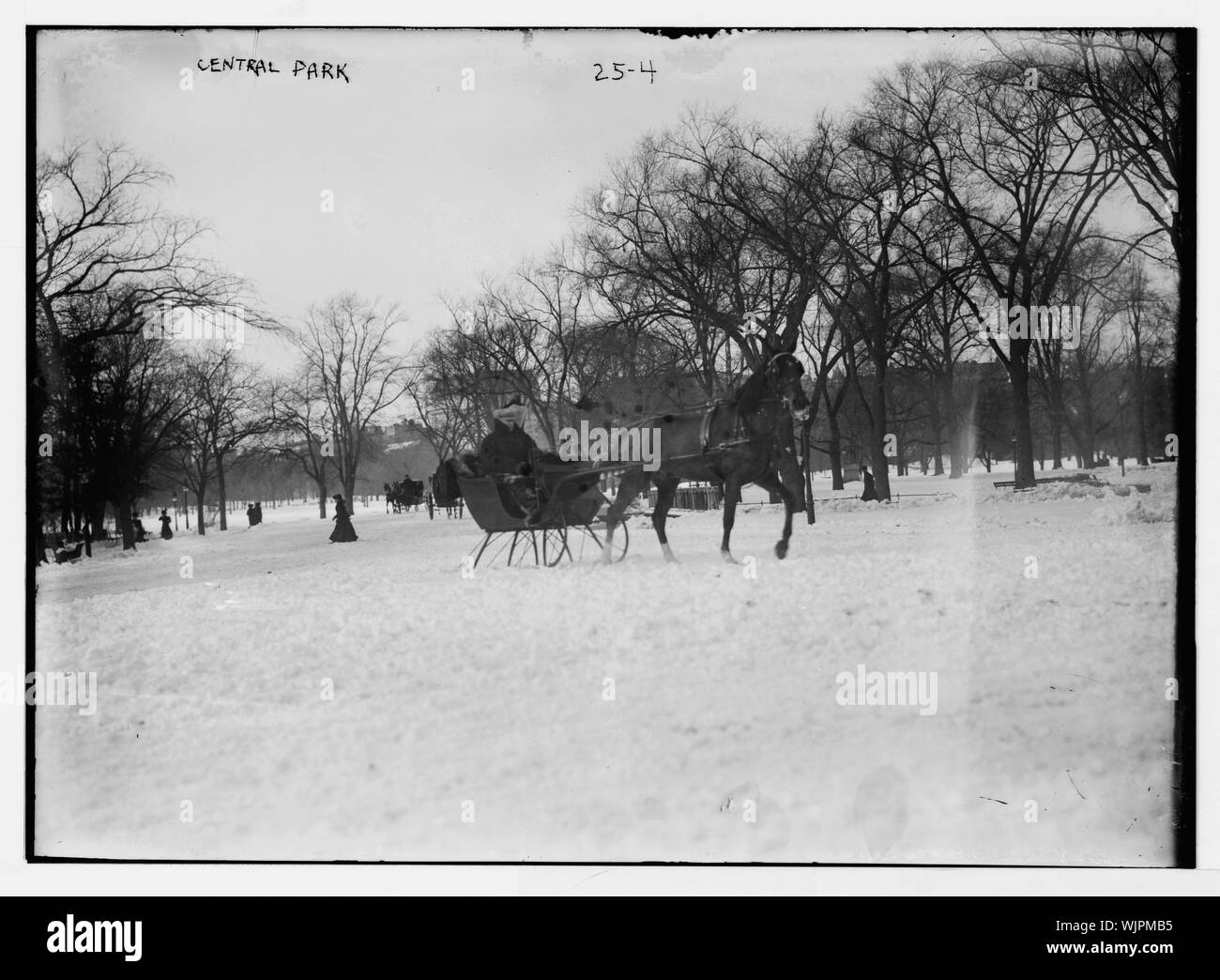 Pferdeschlittenfahrt im Central Park, New York City Stockfoto
