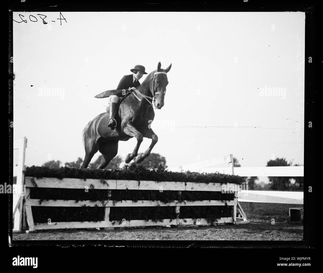 Horse eventing Fotos und Bildmaterial in hoher Auflösung Alamy