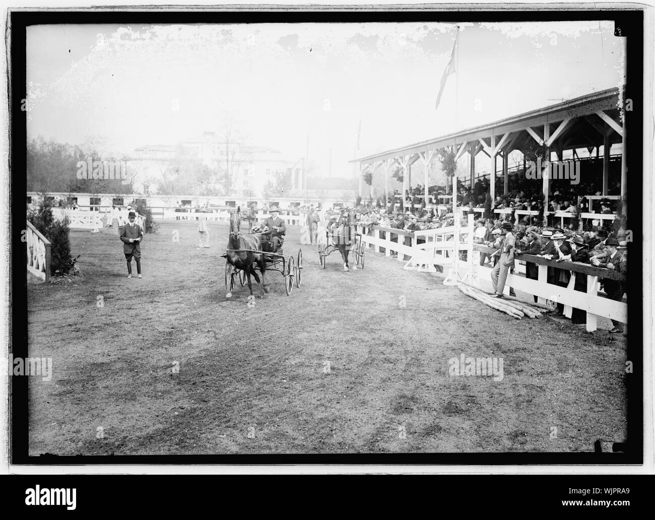 Horse Show, Washington, D.C., 3. Mai 1917 Stockfoto