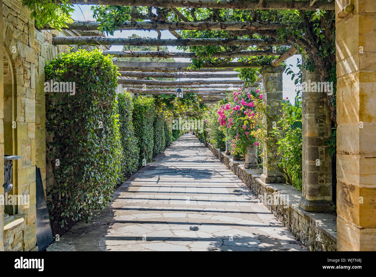 Pergola Walk-italienischen Garten - Hever Castle, Großbritannien Stockfoto