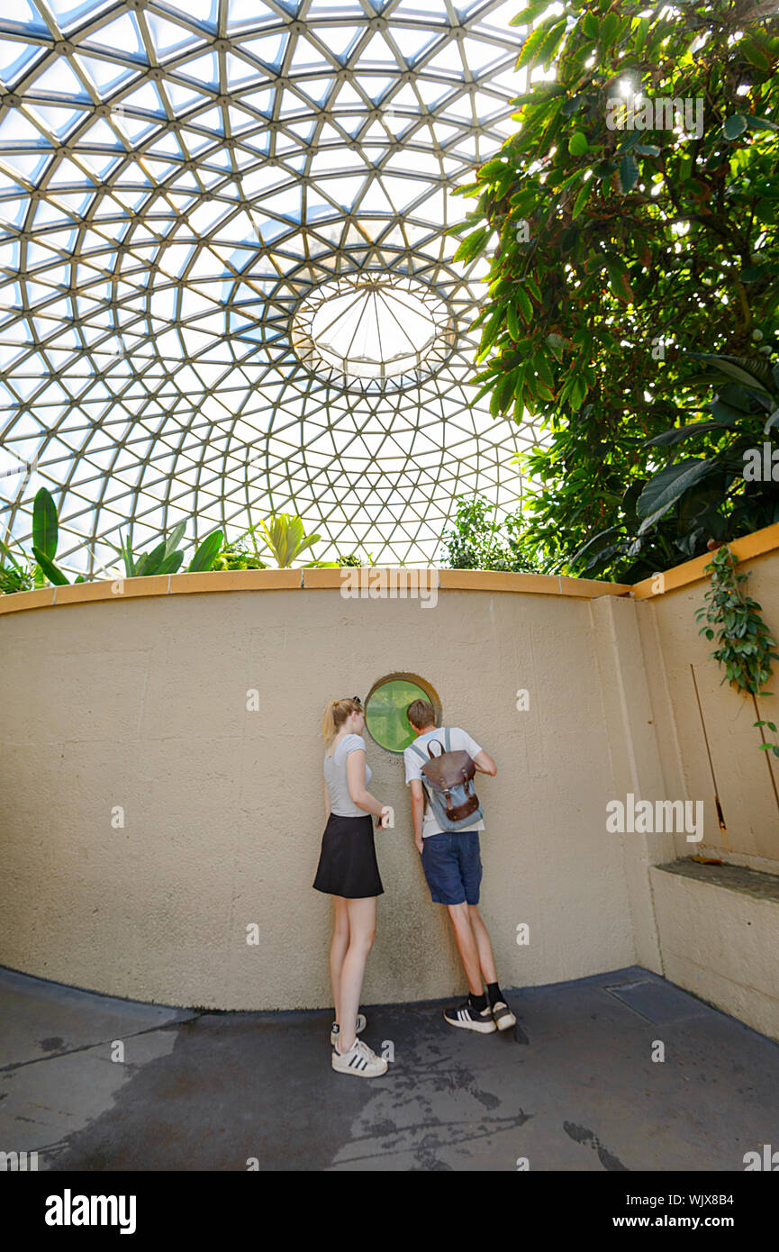 Besucher schauen durch ein Bullauge in der tropischen Anzeige Dome am Mt. Coot-tha-botanischen Gärten, Brisbane, Queensland, Queensland, Australien Stockfoto