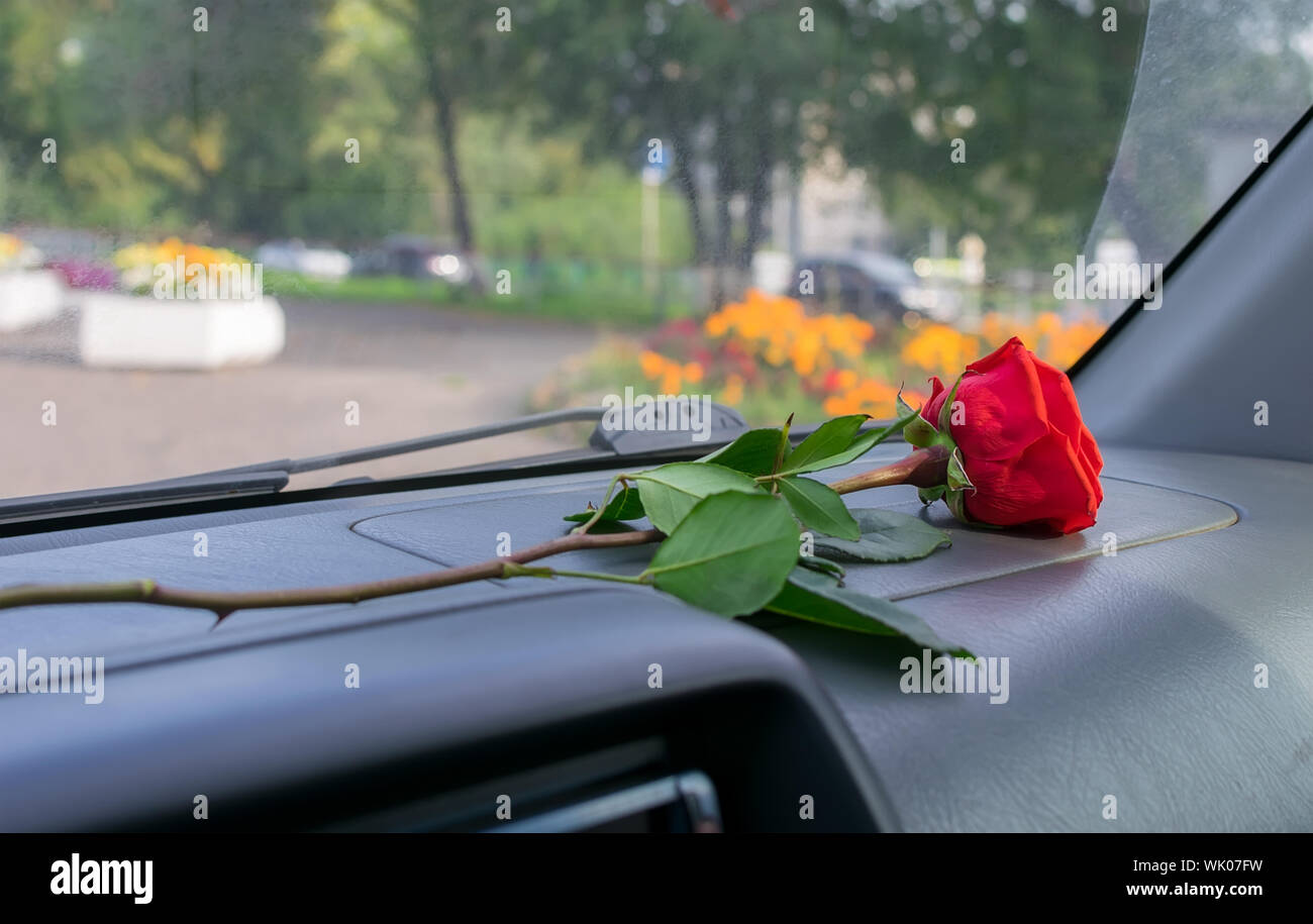 Rote Rose Blume setzt Auto Lenkrad abdeckungen Auto Interieur