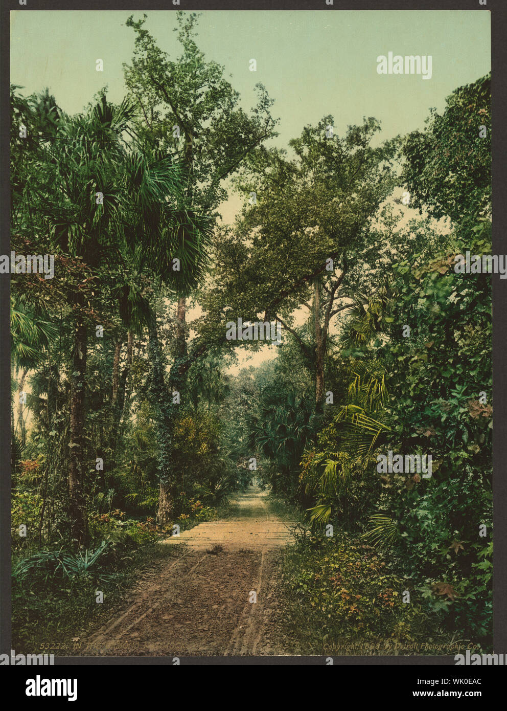 In den Ormond Hängematte Stockfoto