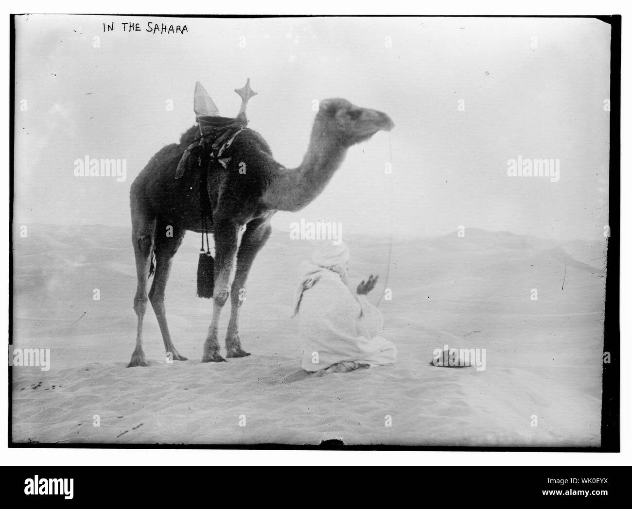 In der Sahara Stockfoto