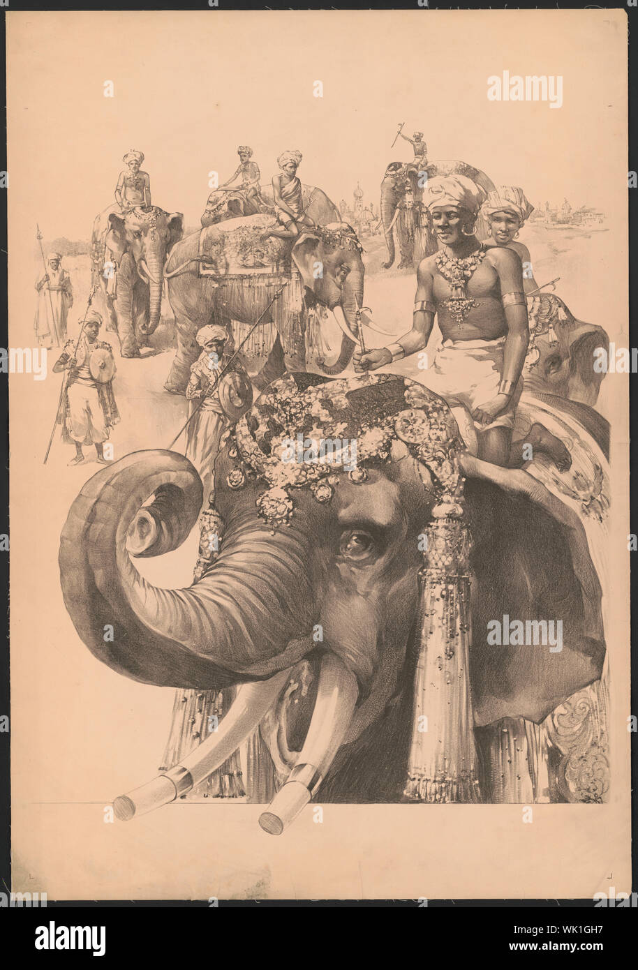 Indianer reiten Elefanten Stockfoto