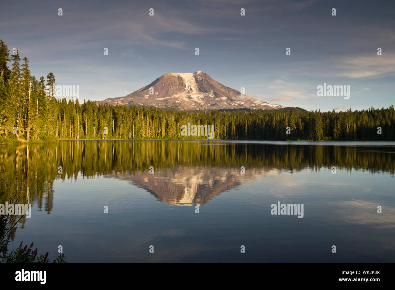 Mount Adams vom See Takhlakh Stockfoto