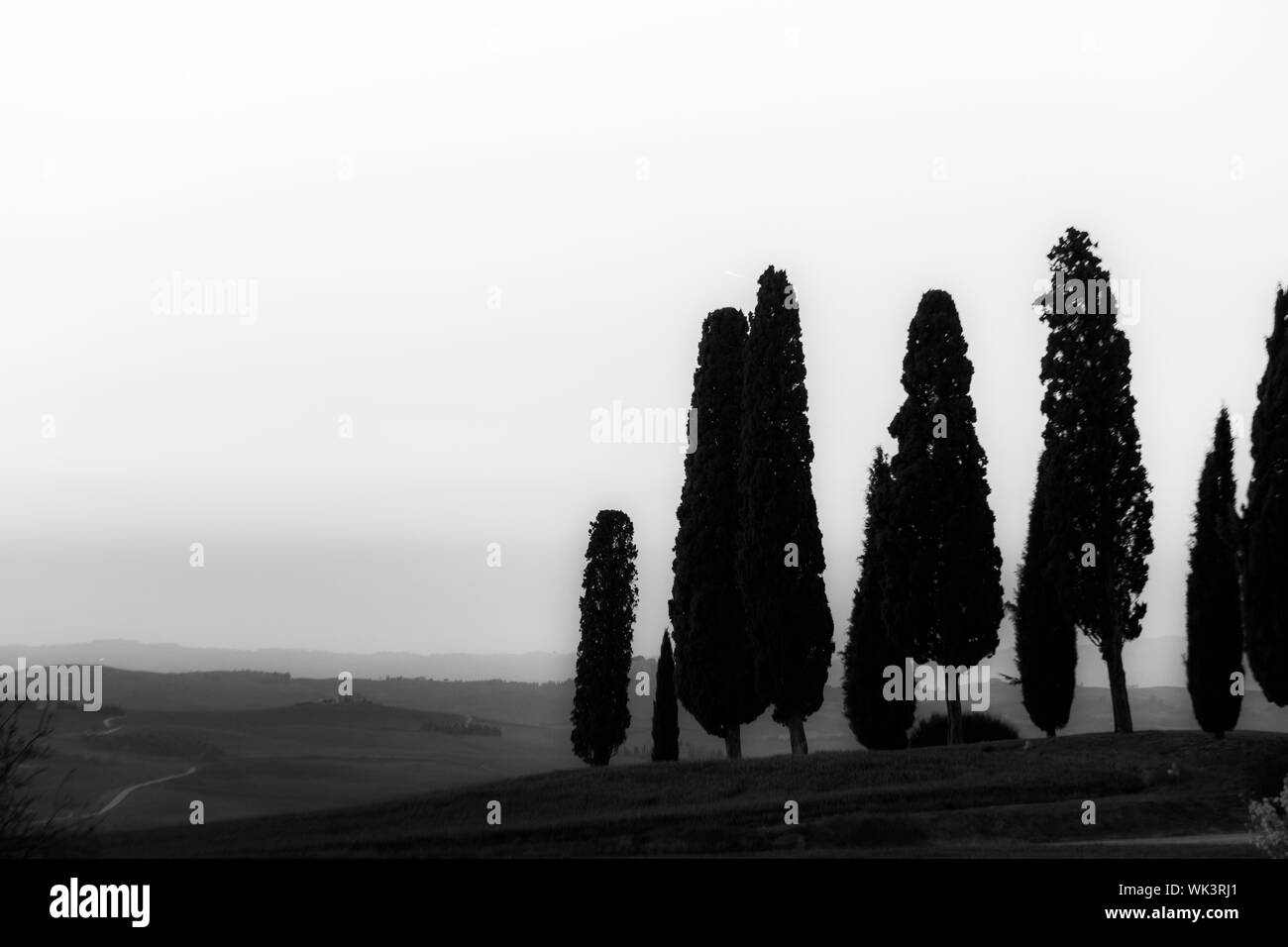 Zypressen Silhouetten in der Toskana (Italien), gegen einen schönen Himmel bei Dämmerung Stockfoto