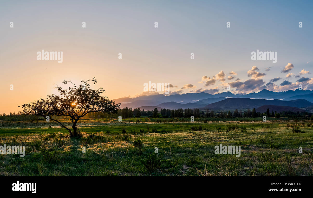 Panorama von einem Berg Tal im Sommer. Natur, Berge, Sonnenuntergang, der Sommer, der Herbst in den Bergen. Reisen, Tourismus, schöne zurück Stockfoto