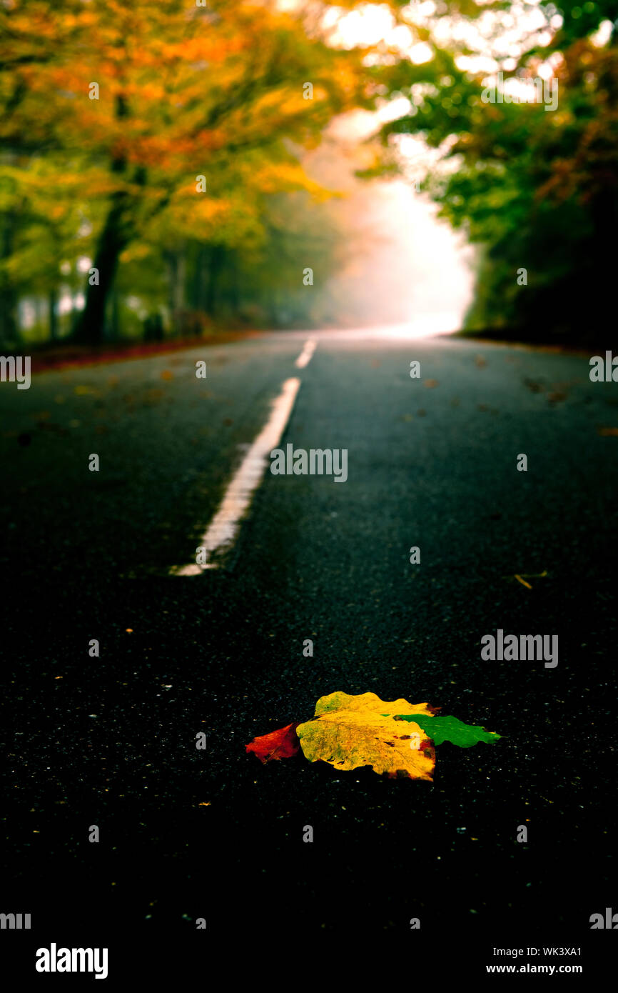 Schöne Straße mit einigen farbigen Herbst Blätter Stockfoto