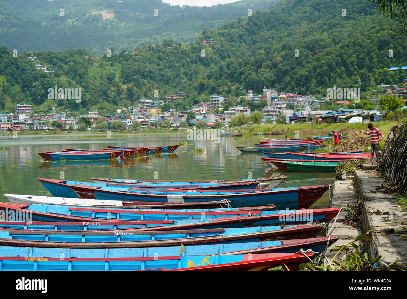 Ruderboote Phewa See, Phewa Tal Fewa See in Nepal Südasien Stockfoto