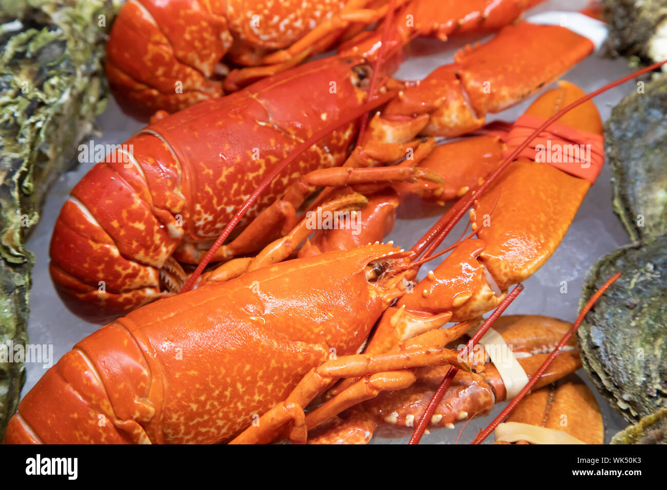 Europäische Hummer auf Verkauf in den norwegischen Fischmarkt Stockfoto