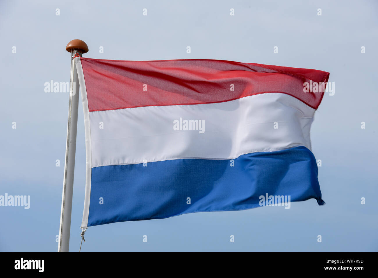 Niederländischer Flagge schwenkten auf der Wind gegen den blauen Himmel Stockfoto