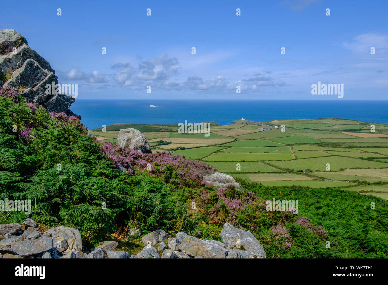 Stolperfallen Kopf Fishguard Pembrokeshire Wales Stockfoto
