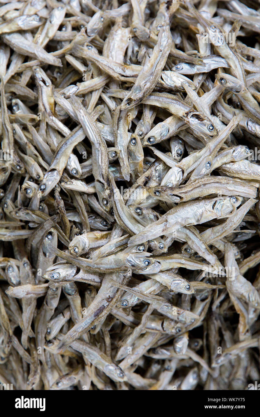 Getrockneter Fisch Stockfoto