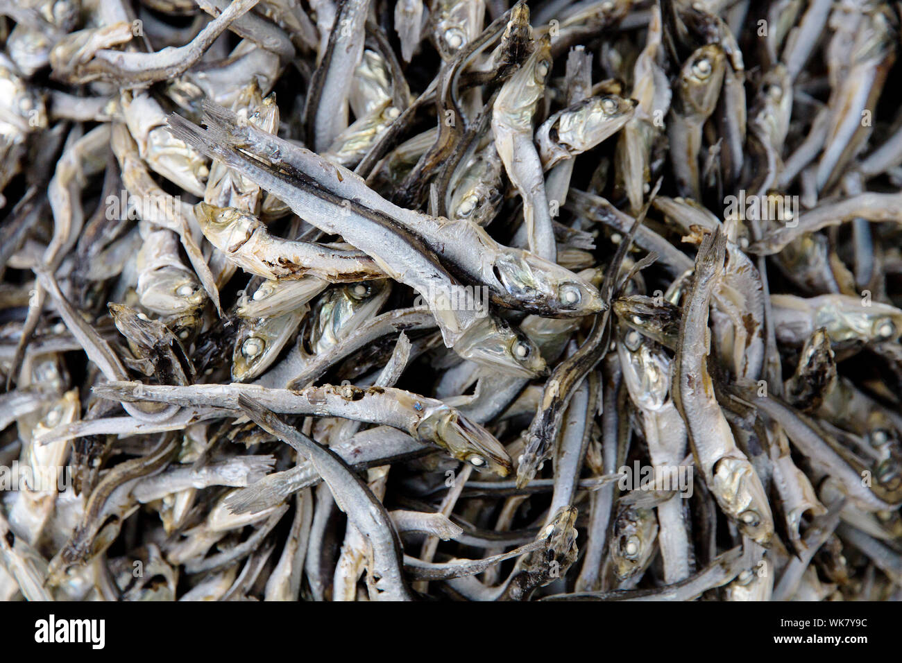 Getrocknete Sardinen Hintergrund Stockfoto