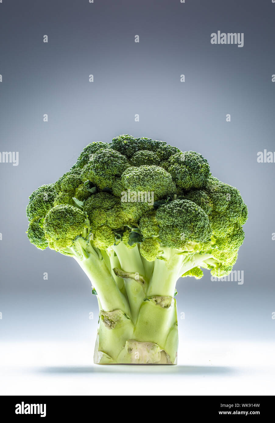 Frischen Brokkoli gelegt vertikal auf einer abstrakten blauer Hintergrund Stockfoto