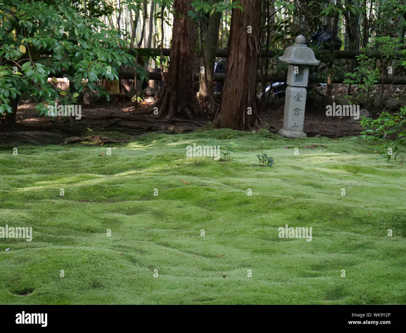 JAPAN - Foto von Sean Sprague Arashiyama, Kyoto. Moss Garten. Stockfoto