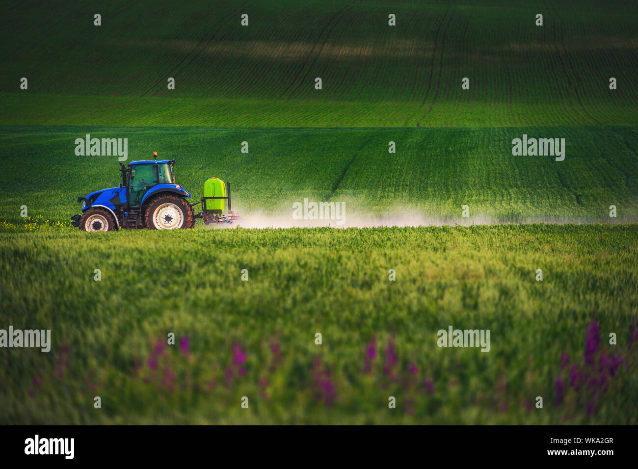 Landwirtschaftlichen Traktor Pflügen und Spritzen auf dem Feld. Stockfoto