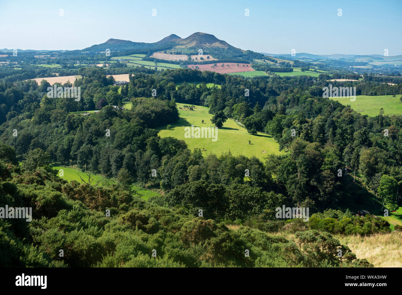 Blick über den Tweed Valley auf dem Weg zur fernen Eildon Hills von Scott's Blick auf die B 6356, Scottish Borders, Schottland, Großbritannien Stockfoto