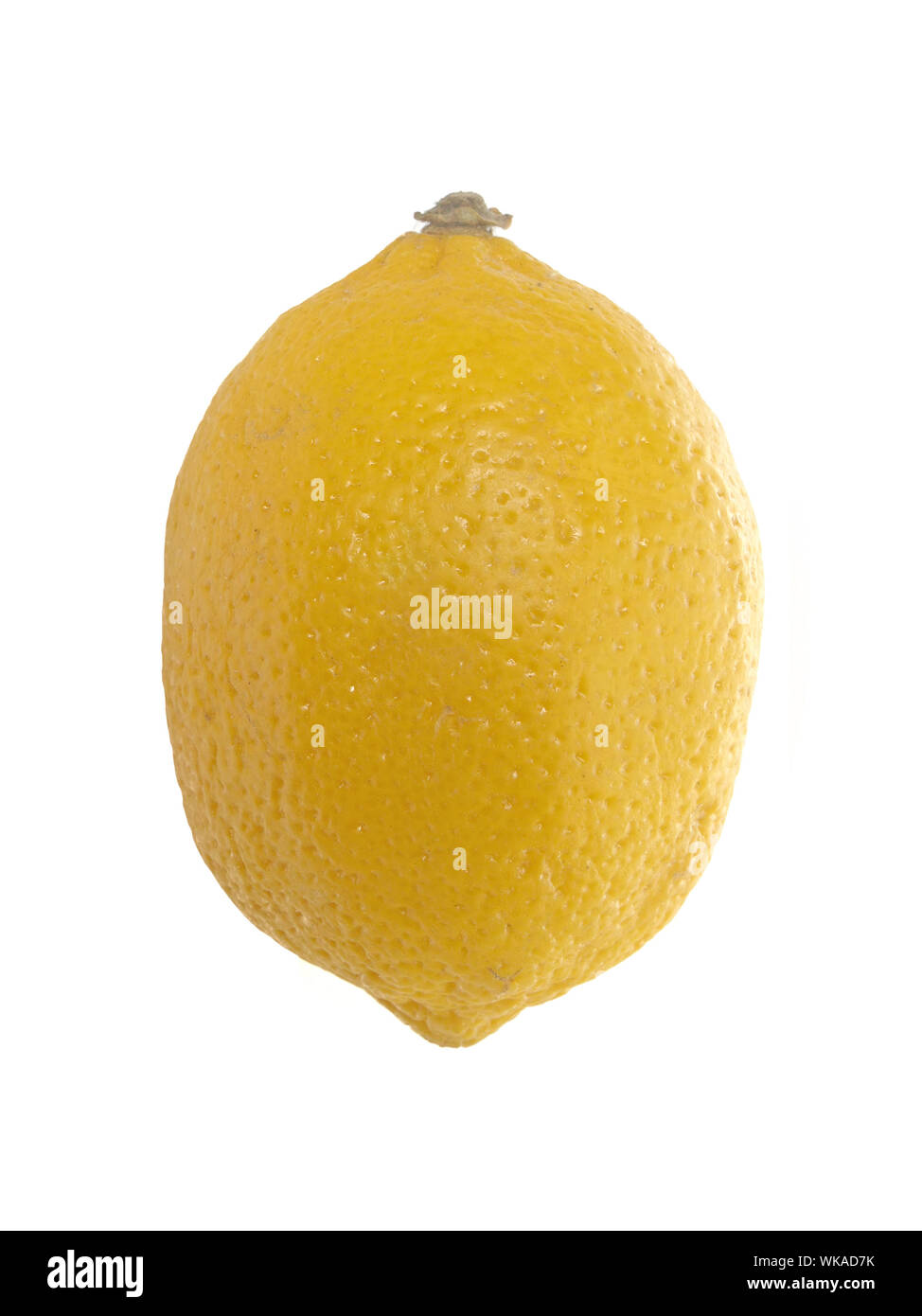Tropische Früchte: Zitrone Stockfoto