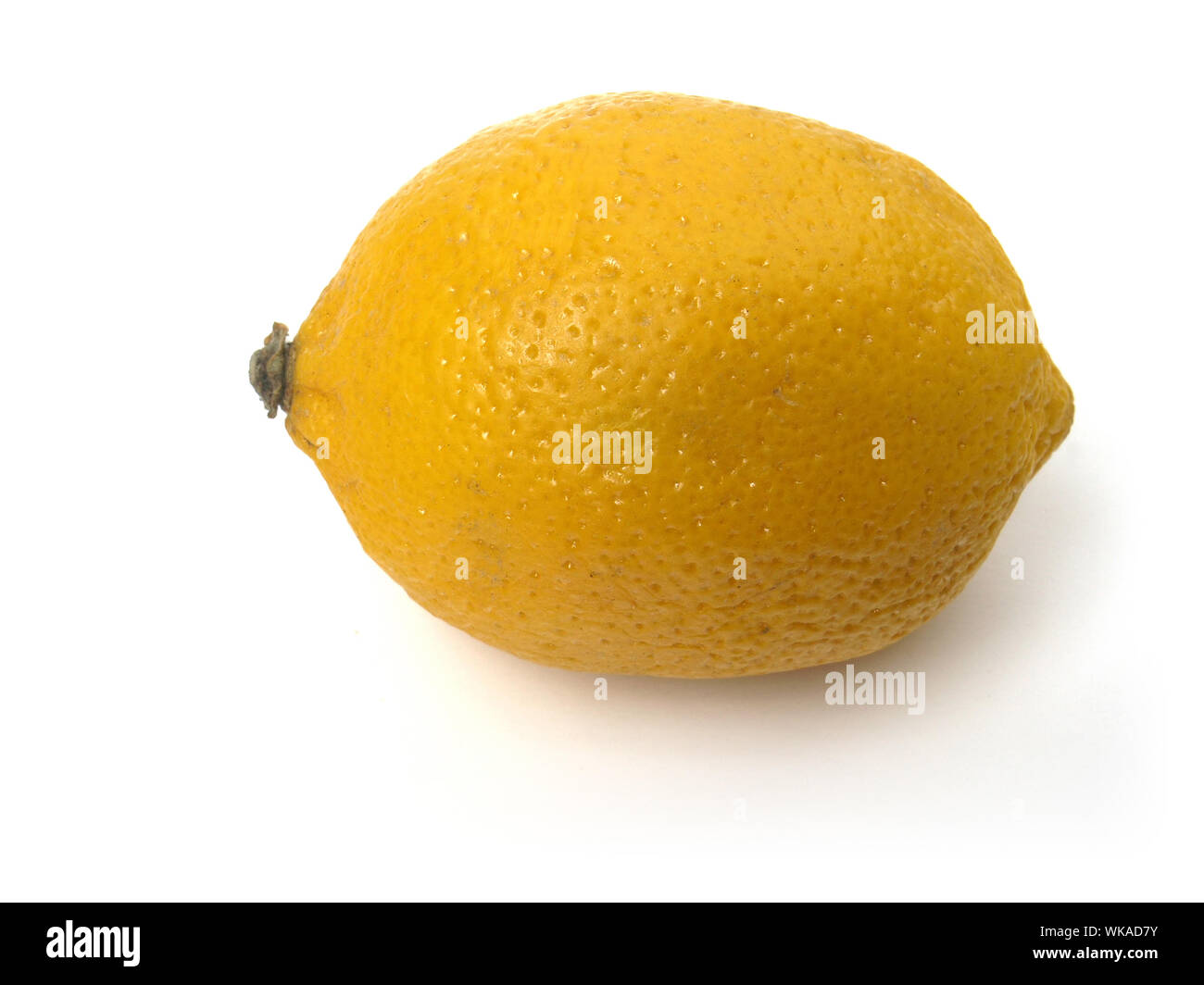 Tropische Früchte: Zitrone Stockfoto