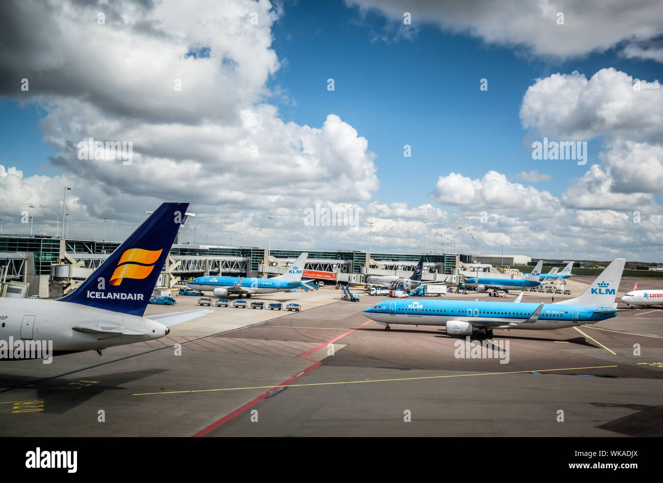 Niederlande; Haarlemmermeer: Amsterdam-Schiphol Flughafen. Flugzeuge der Airlines KLM Royal Dutch und Icelandair, auf dem Asphalt. Stockfoto