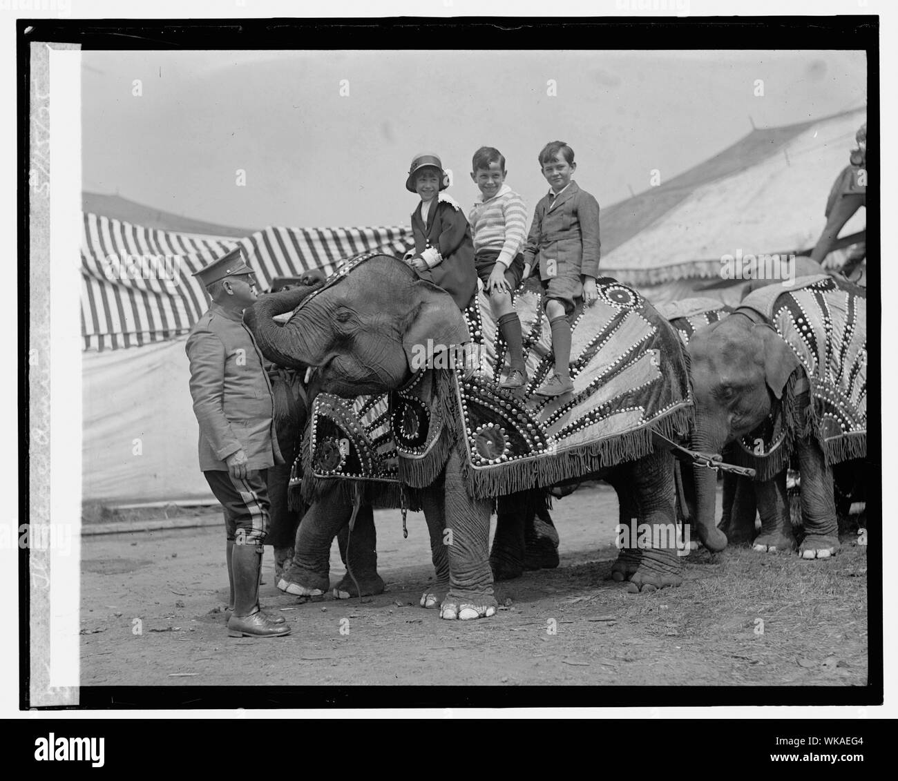 Jane Davis, Jimmy Davis & Theodore Amussen, 5/15/25. Stockfoto