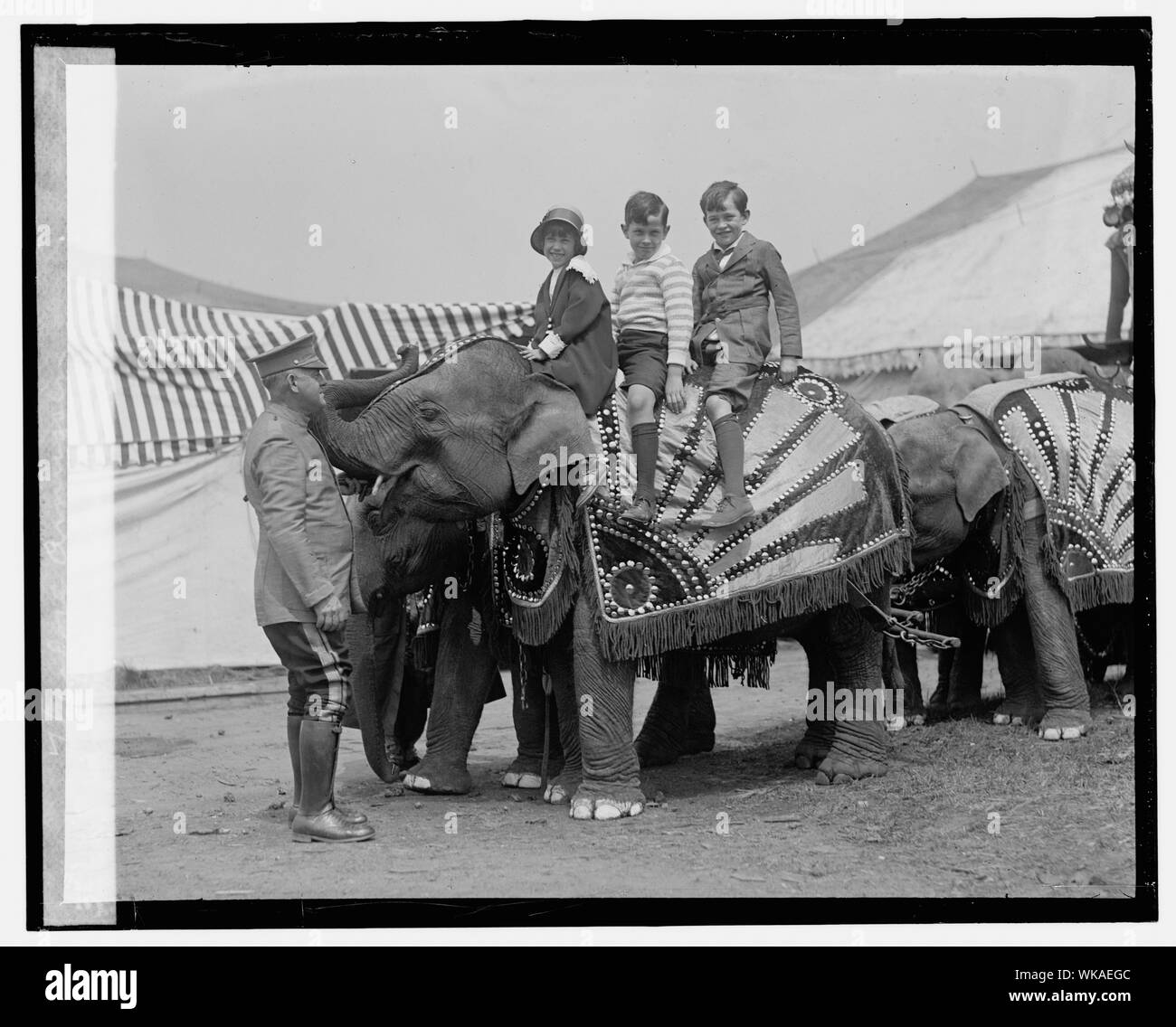 Jane Davis, Jimmy Davis & Theodore Amussen, 5/15/25. Stockfoto