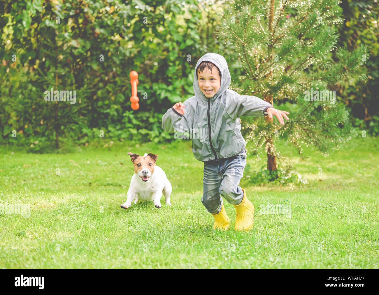 Hund spielt mit Jungen unter Regen im Garten Rasen Stockfoto