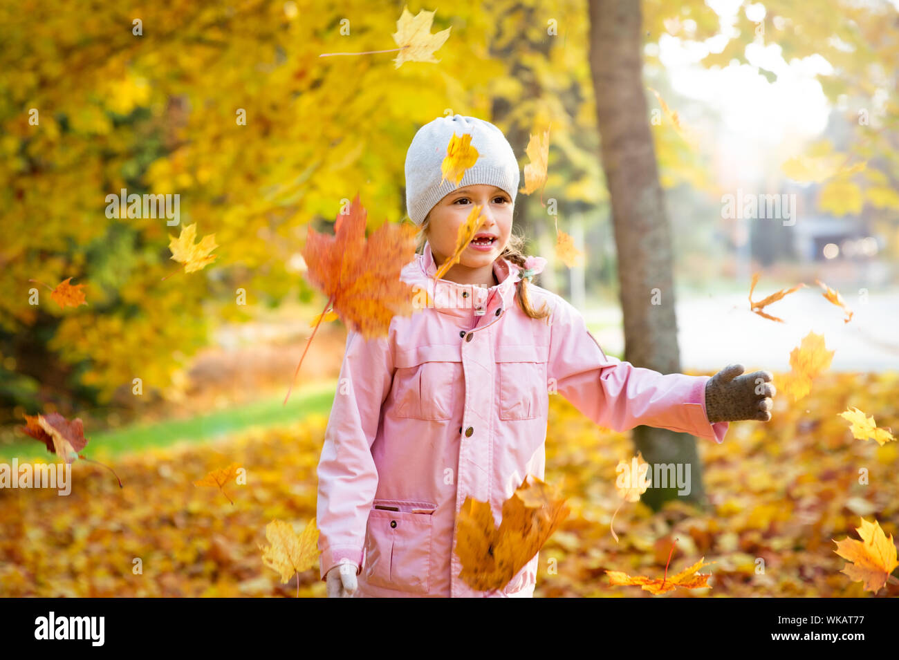 Süße kleine Mädchen mit fehlenden Zähne spielen mit gelbem Laub im Herbst Wald, trowing in die Luft. Glückliches Kind lachen und lächeln. Sonnig Stockfoto