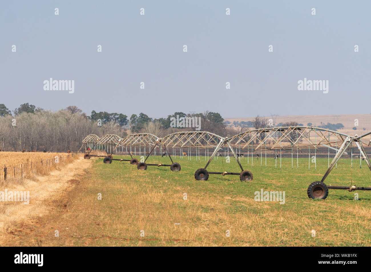 Landwirtschaftliche Drehmittelpunkt Bewässerungssystem in einem Bauernhof Feld nicht verwendet wird oder nicht funktionieren in der Provinz Gauteng, Südafrika Stockfoto