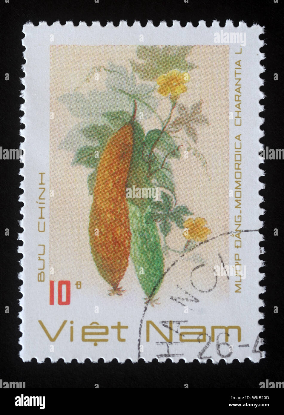 Stempel gedruckt in Vietnam zeigt eine Momordica charantia, Serie, ca. 1989. Stockfoto