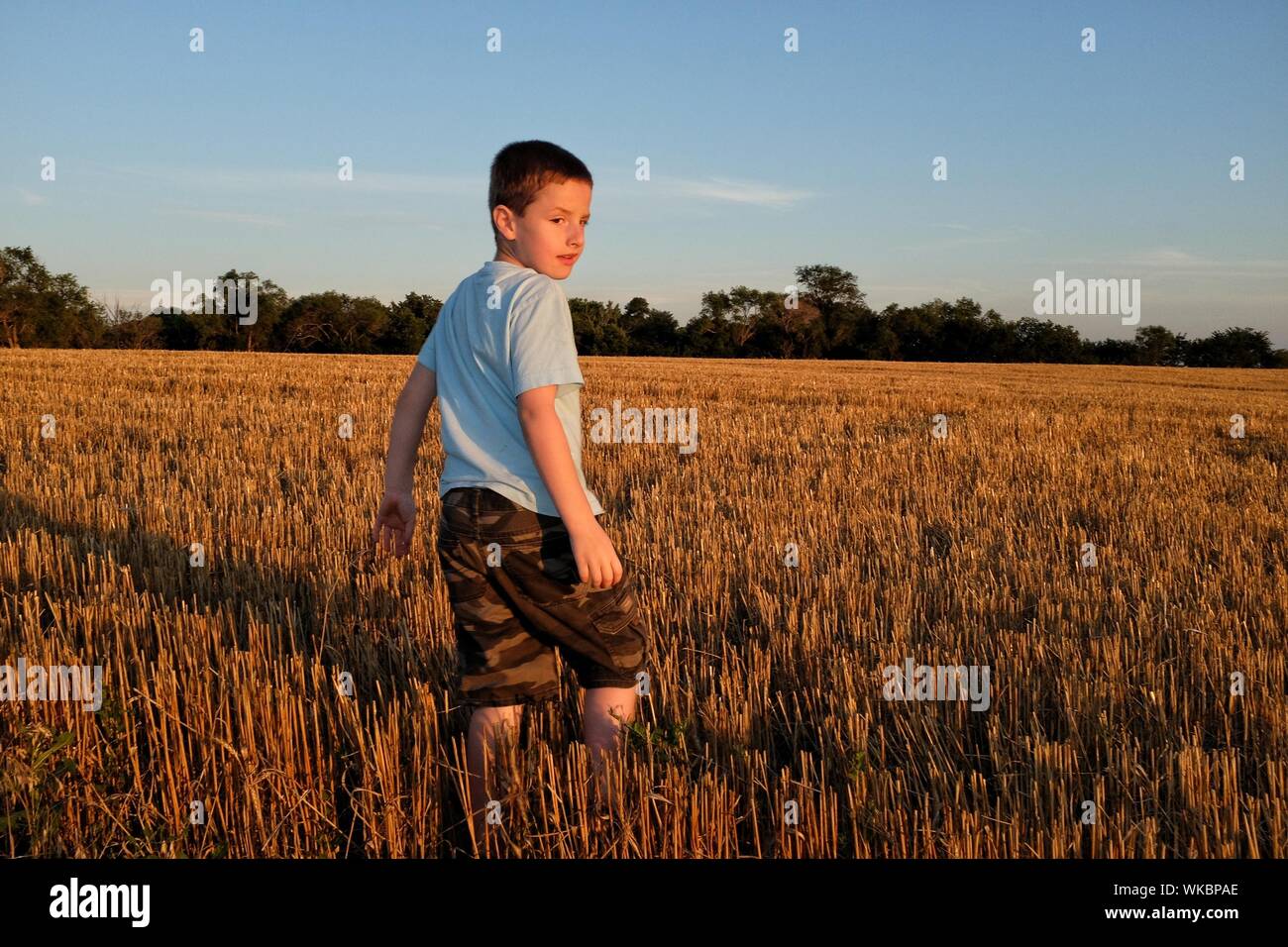 Junge auf dem Feld der Arbeitsscheinwerfer zur Kontrolle der Schnitthöhe während des Sonnenuntergangs Stockfoto