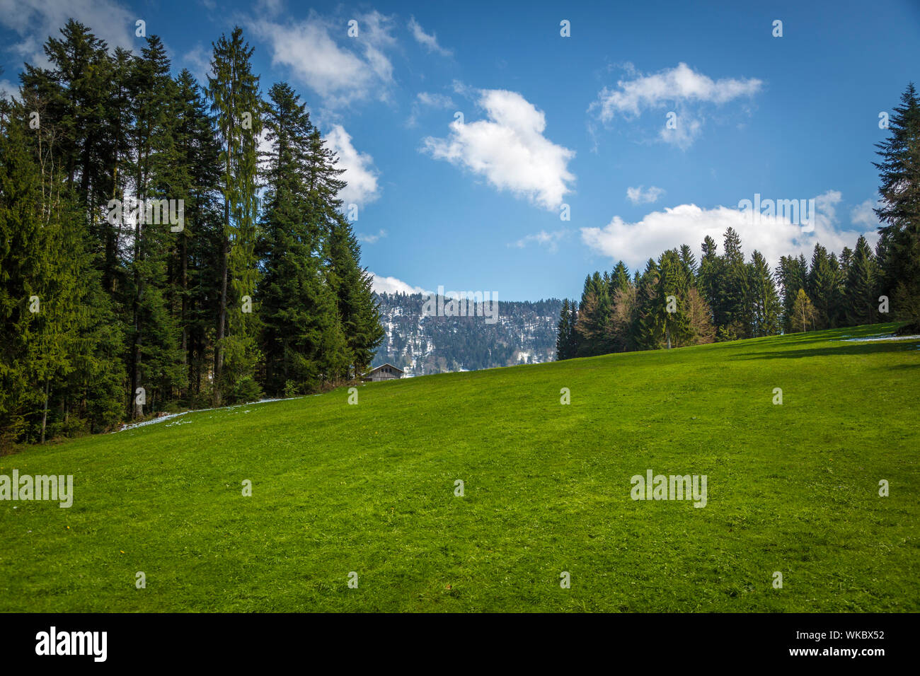 Wanderweg im Krumbach, Bregenzerwald, Vorarlberg, Österreich Stockfoto