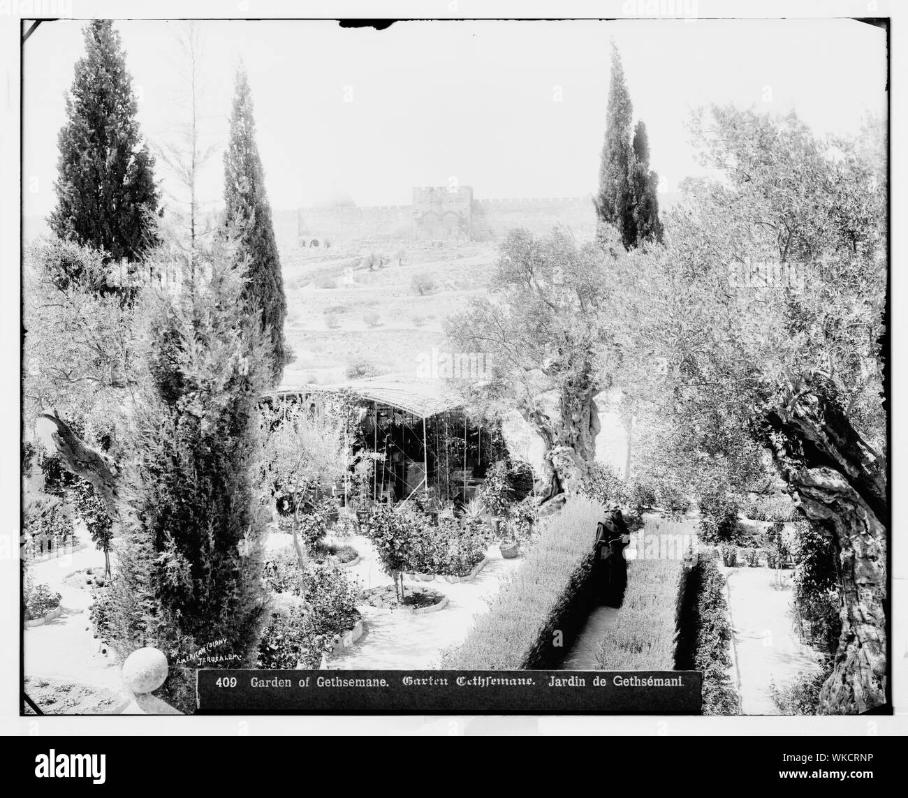 Jerusalem (El-Kouds). Garten Gethsemane, Anbauteile innen Stockfoto