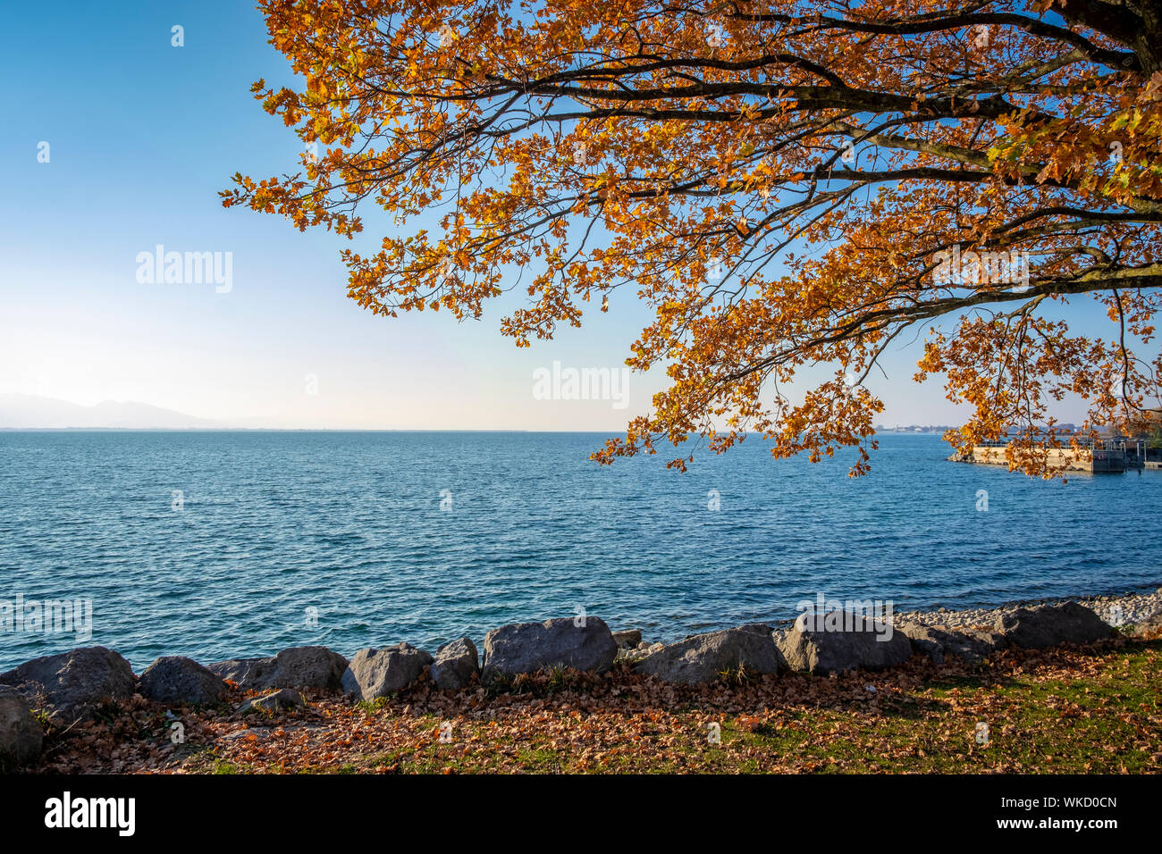 Herbststimmung im Schwarzbad Lochau am Bodensee Stockfoto