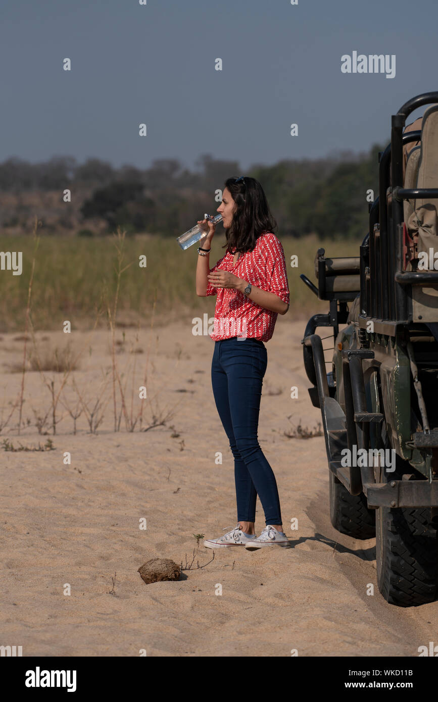 Touristische Trinkwasser auf Safari Stockfoto