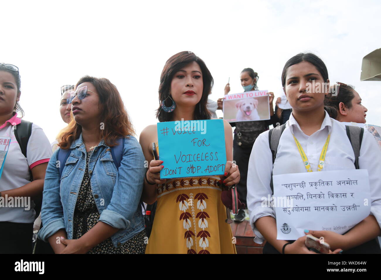 Kathmandu, Nepal. 4 Sept. 2019. Völker ein Teil mit Plakette in der tierischen rechte Kundgebung in Kathmandu. Sarita Khadka/Alamy leben Nachrichten Stockfoto