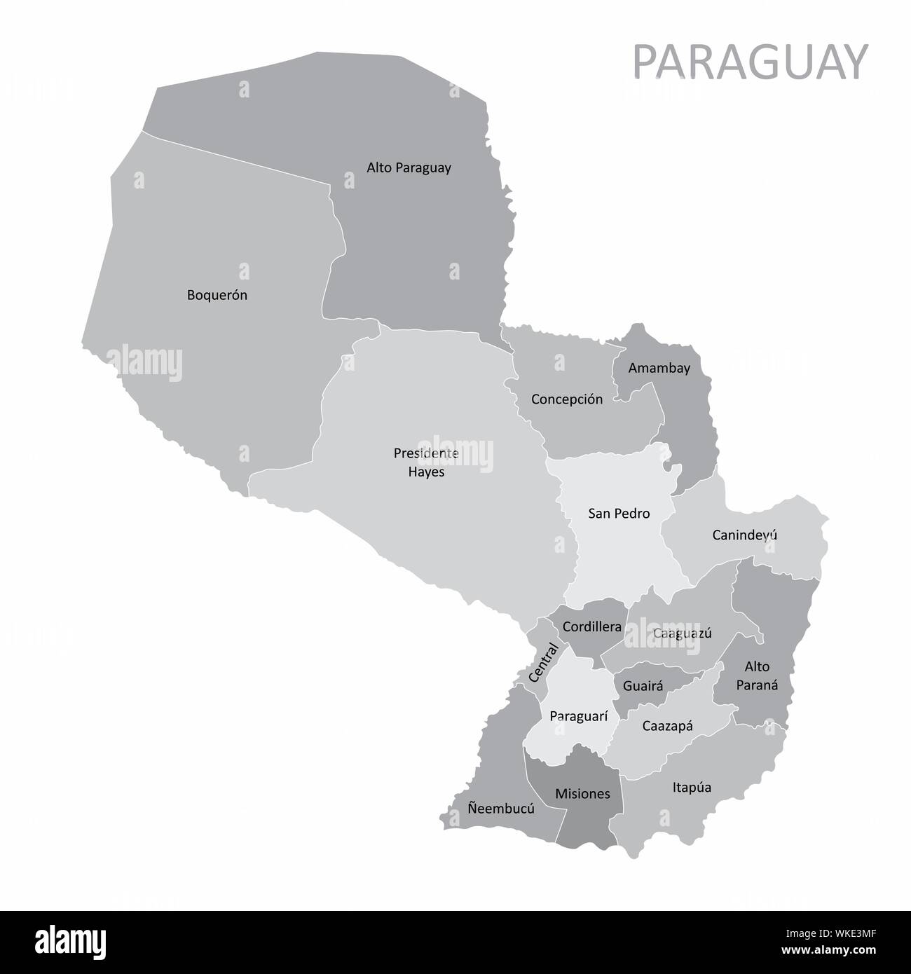 Die Paraguay Karte in Regionen mit Etiketten unterteilt Stock Vektor