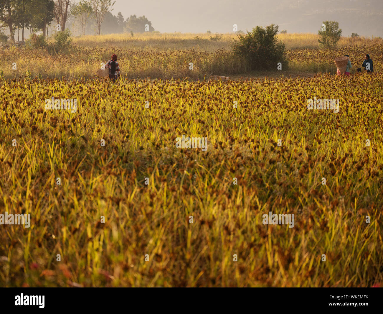 Nepal fine art Portraits Stockfoto